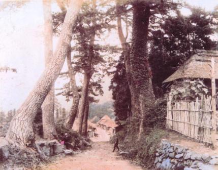 �N���b�N����Ɗg��